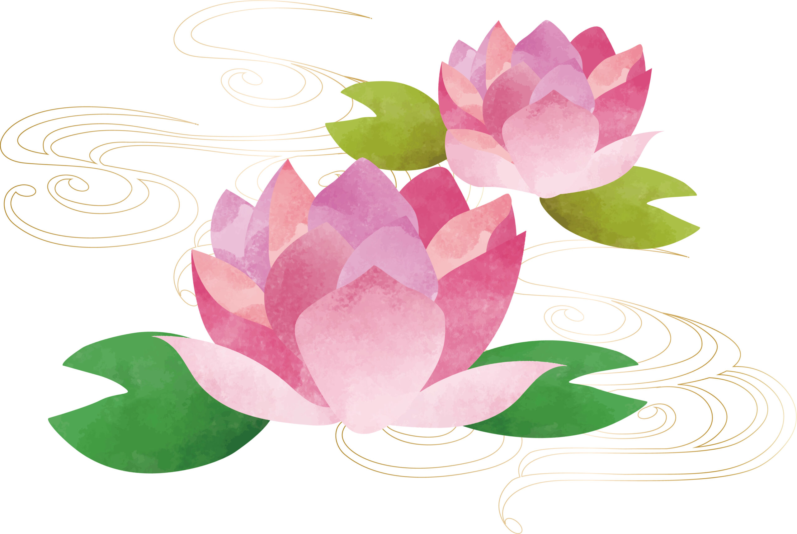 The lotus flower is the symbol of Buddhism