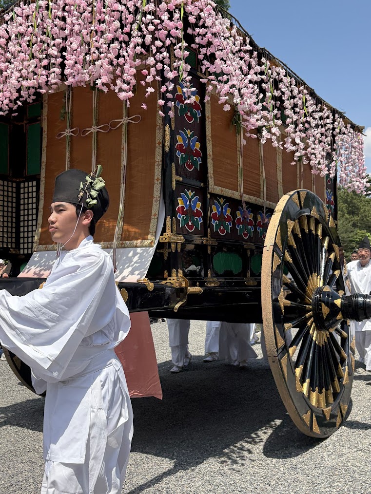 Aoi Matsuri